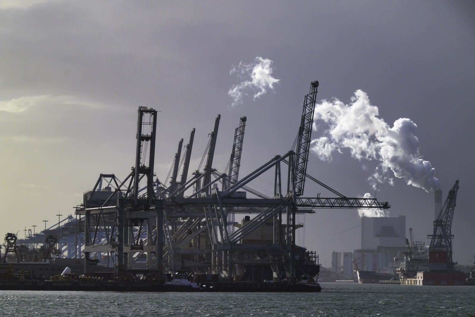 Rotterdam-Haven-2